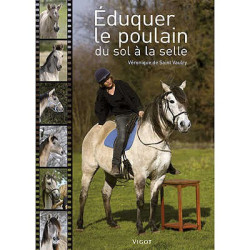 Éduquer le poulain du sol à la selle
