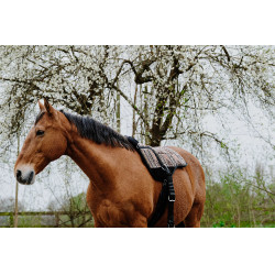 Zadeldek Norton Kiowa