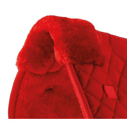 Amortisseur de dos Riding World Rouge