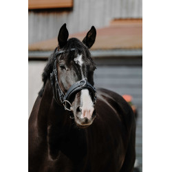 Caveçon large Norton Noir Caveçon large Norton Noir