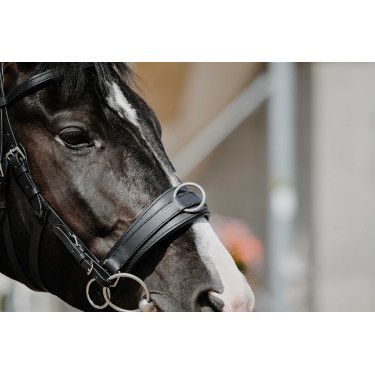 Brede cavesson Norton Zwart Brede cavesson Norton Zwart