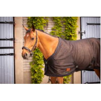 Chemise Mesh Paddock Sports Noir Chemise Mesh Paddock Sports Noir