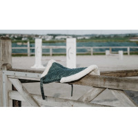 Amortisseur Equithème Pro air Noir Amortisseur Equithème Pro air Noir