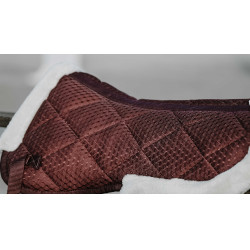 Amortisseur Equithème Pro air Bordeaux Amortisseur Equithème Pro air Bordeaux