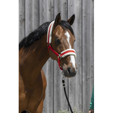 Licol Riding World mouton synthétique Rouge Licol Riding World mouton synthétique Rouge