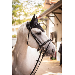 Bonnet Paddock Sports Pro Coton Noir