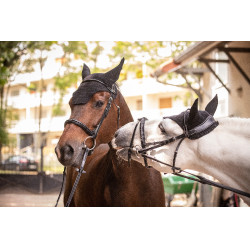 Bonnet Paddock Sports Pro Coton Noir