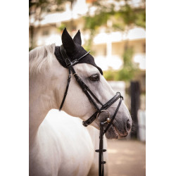 Bonnet Paddock Sports Pro Coton Noir