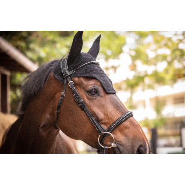 Bonnet Paddock Sports Pro Coton Noir