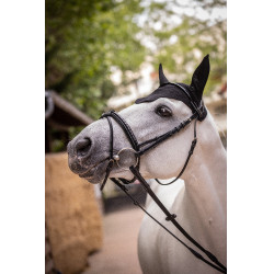 Bonnet Paddock Sports Pro Coton Noir