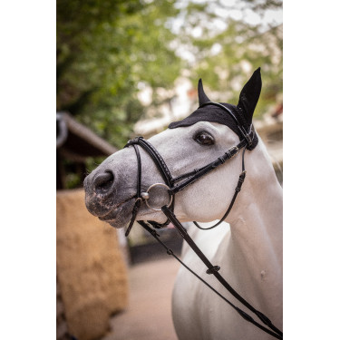 Bonnet Paddock Sports Pro Coton Noir