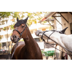 Bonnet Paddock Sports Pro Coton Noir