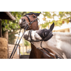 Bonnet Paddock Sports Pro Coton Noir
