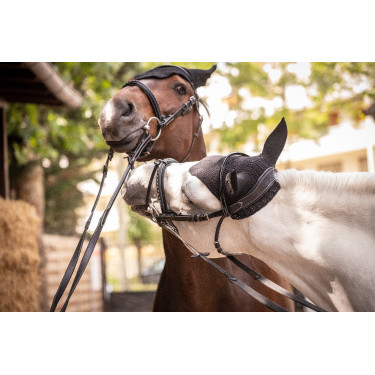Bonnet Paddock Sports Pro Coton Noir