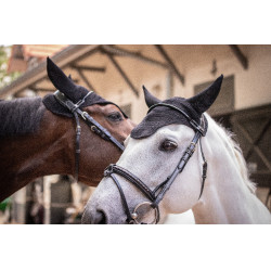 Bonnet Paddock Sports Pro Coton Noir