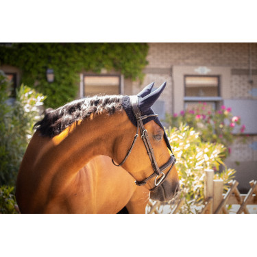 Paddock Sport Pro Katoen Lange Muts Marineblauw Paddock Sport Pro Katoen Lange Muts Marineblauw