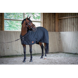 Gewatteerde Paddock Sports Deken Gewatteerde Paddock Sports Deken