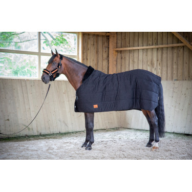 Onderdeken Paddock Sports Underblancket Zwart Onderdeken Paddock Sports Underblancket Zwart