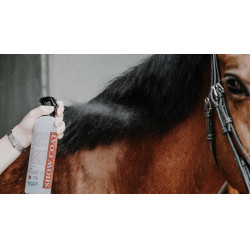 Glansontklitter Rekor Show Coat Glansontklitter Rekor Show Coat