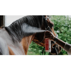 Glansontklitter Rekor Show Coat Glansontklitter Rekor Show Coat