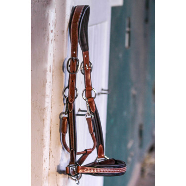 Licol cuir Pénélope Point Sellier Noisette Marron Licol cuir Pénélope Point Sellier Noisette Marron