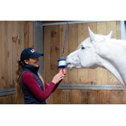 Steun voor Likit zoutsteen 650 g Blauw Steun voor Likit zoutsteen 650 g Blauw