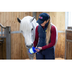 Steun voor Likit zoutsteen 650 g Blauw Steun voor Likit zoutsteen 650 g Blauw