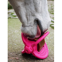 Speelgoed Bizzy Ball Likit Fuchsia Roze