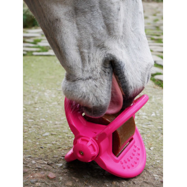 Speelgoed Bizzy Ball Likit Fuchsia Roze