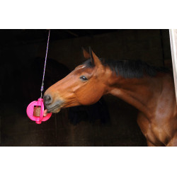 Jouet Bizzy Ball Likit Fuchsia Rose