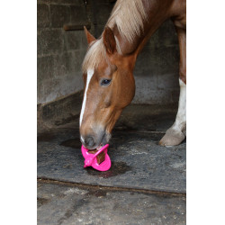 Jouet Bizzy Ball Likit Fuchsia Rose