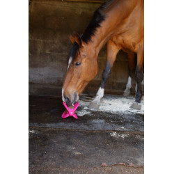 Jouet Bizzy Ball Likit Fuchsia Rose