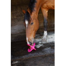 Jouet Bizzy Ball Likit Fuchsia Rose