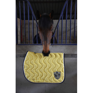 Tapis Paddock Sports Origine Jaune