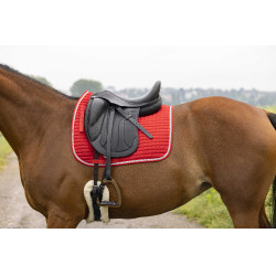 Tapijt Riding World Girly Rood