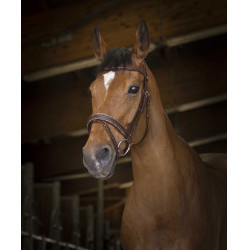 Bridon Norton Pro Rock Havane Marron