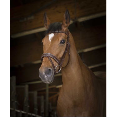 Bridon Norton Pro Rock Havane Marron