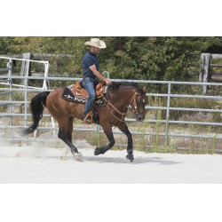 Selle Westride door Franck Perret Aurora Hazelnoot Bruin