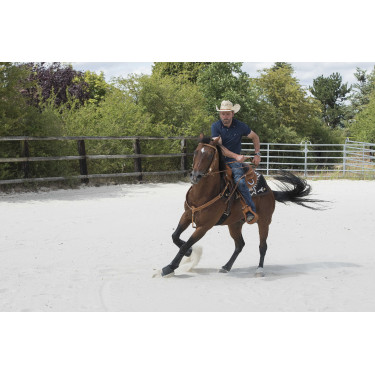 Selle Westride door Franck Perret Aurora Selle Westride door Franck Perret Aurora