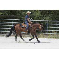 Selle Westride by Franck Perret Aurora Noisette Marron Selle Westride by Franck Perret Aurora Noisette Marron