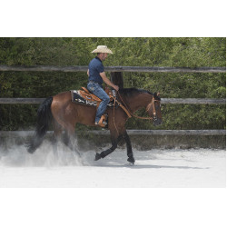 Selle Westride door Franck Perret Aurora Hazelnoot Bruin