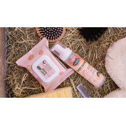 Easy Shine Wipe Ravene Reinigingsdoekjes