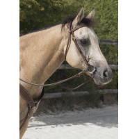 Bridon Westride door Franck Perret Colorado Chocolade Bruin Bridon Westride door Franck Perret Colorado Chocolade Bruin
