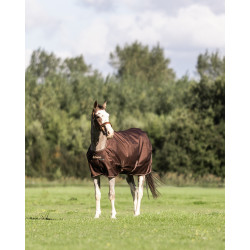 Couverture Bucas Irish Turnout 300g avec couvre cou Espresso Marron Couverture Bucas Irish Turnout 300g avec couvre cou Espresso Marron