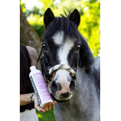 Aliment complémentaire Alodis Care Help Cush