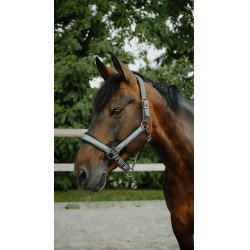 Halster Equithème Glowy Zwart / zwart