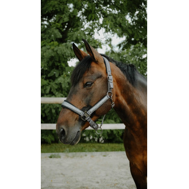Halster Equithème Glowy Zwart / zwart