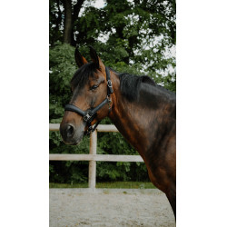 Halster Equithème Glowy Zwart / zwart