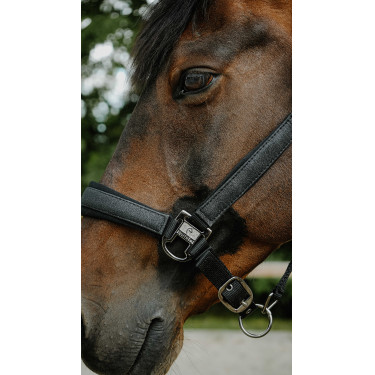 Licol Equithème Glowy Noir / noir Licol Equithème Glowy Noir / noir