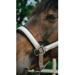 Halster Equithème Glowy Beige / goudkleurig